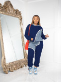 Plus Size Fashion Color Blocking Hooded Sweatshirt Two Piece Pants Set JH-322
