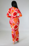 Casual Print Lapel Long Sleeve Slim Maxi Dress  XHXF-340