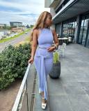 Solid Color Vest And Bandage Skirt Two Piece Set LDS-3325