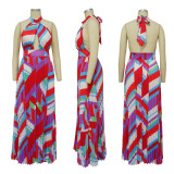 Sexy Print Halter Tie Up Backless Maxi Dress YF-10490