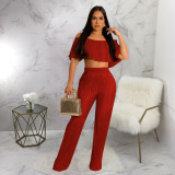 Pleated Ruffle One Shoulder Wide Leg Pants Set YF-10470
