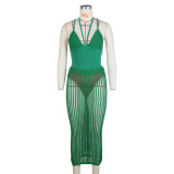 Sexy Backless Bodysuit And Hollow Out Skirts Knits Two Piece Set ZSD-0265