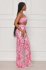 Sexy Print Tube Tops And Straight Pants Two Piece Set ANDF-1533