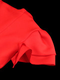 Plus Size Stand Collar Flare Sleeve Dress GKEN-221202