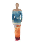 Long Sleeve Print Off Shoulder Mesh Pleated Maxi Dress ZDF-31283