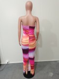 Sexy Off Shoulder Tube Tops Print Dress BGN-282