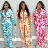 Long Sleeve Print Lapel Neck Two Piece Pants Set XMY-9440