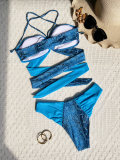 Snake Print Color Blocking Bikinis Two Piece Swimsuit CASF-6560