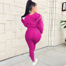 Solid Color Zipper Hooded Sport Two Piece Pants Set QXTF-8888