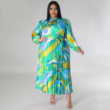 Plus Size Print Tie Up Pleated Maxi Dress NNWF-N7919