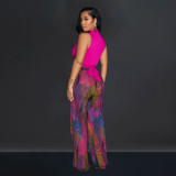 Colorful Printed V-Neck Sleeveless Pants Two Piece Set BY-6708