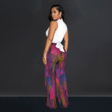 Colorful Printed V-Neck Sleeveless Pants Two Piece Set BY-6708