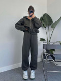 Solid Zipper Hooded Sweatshirt And Pants 2 Piece Set SSNF-211342