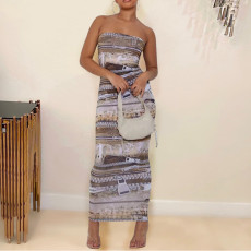 Sexy Print Slim Tube Tops Maxi Dress GNZD-7914DG
