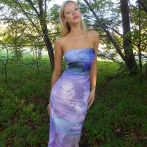Fashion Print Backless Tube Top Maxi Dress BLG-D3512628K