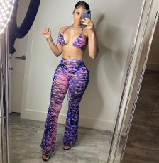 Sexy Printed Swimsuit Mesh 3 Piece Set(With Panties) BGN-163