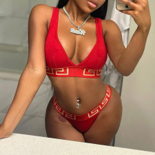 Printed Bikini Two Piece Swimsuit GYZY-8886