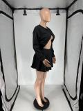 Long Sleeve Backless Tops And Pleated Skirt 2 Piece Set QXLB-10080