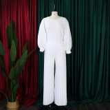 Solid Color Long Sleeve Loose Pleated 2 Piece Set GCZF-8531