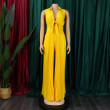 V Neck Sleeveless Tie Up Loose Jumpsuit GCZF-8533