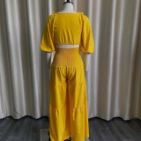 Solid Color Pleated Tie Up Two Piece Skirt Set GCZF-D220