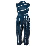 Plus Size Sleeveless Print Loose Jumpsuit GDAM-040