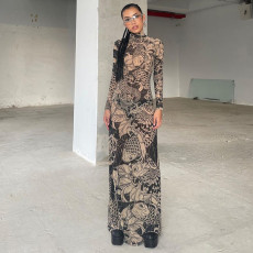 Mesh Print See Through Maxi Dress DLSF-23D33779