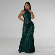 Lace Halter Backless Slim Maxi Dress CYA-901214