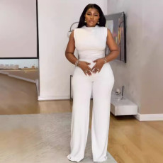Solid Color Sleeveless Pleated Wide Leg Jumpsuit NY-10853