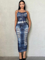 Sexy Print Backless Hang Neck Long Dress GADE-5946