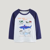 Kids Boys Print Color Block T Shirt GASD-5373
