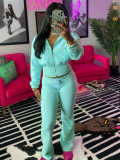 Solid Color Long Sleeve Zipper Two Piece Pants Set CH-24065