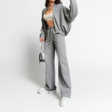 Solid Long Sleeve Zipper Loose Two Piece Pant Set GRST-28695