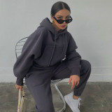 Hooded Sweatshirt Coat Pants Solid 2 Piece Set YMZY-1939