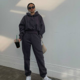 Hooded Sweatshirt Coat Pants Solid 2 Piece Set YMZY-1939