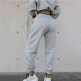 Hooded Sweatshirt Coat Pants Solid 2 Piece Set YMZY-1939