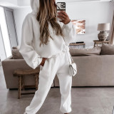 Solid Color Sport Hooded Sweatshirt Pants Suit YMZY-0197