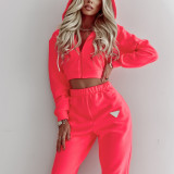 Solid Color Hooded Long Sleeve Pants 2 Piece Set YMZY-1046