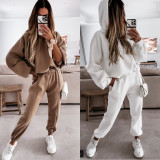Solid Color Sport Hooded Sweatshirt Pants Suit YMZY-0197