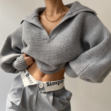 Fashion Long Sleeve Knits Lapel Sweater YMZY-21138