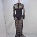 Lace Patchwork See Through Bodycon Dress GPBY-15142