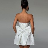 Sexy Print Bow Tie Tube Top Dress GPBY-17182