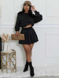 Solid Color Long Sleeve Pleated Skirt 2 Piece Set SFY-2797