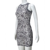 Lace Leopard Print Mini Dress GFRT-041653DBG