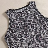 Lace Leopard Print Mini Dress GFRT-041653DBG