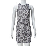 Lace Leopard Print Mini Dress GFRT-041653DBG