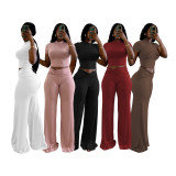 Solid Color Short Sleeve Tops Wide Leg Pants Suit QXLB-10129