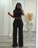 Solid Color Short Sleeve Tops Wide Leg Pants Suit QXLB-10129