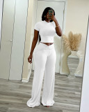 Solid Color Short Sleeve Tops Wide Leg Pants Suit QXLB-10129