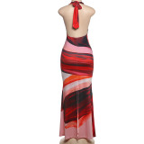 Contrast Color Print Backless Maxi Dress DLSF-K25D63123